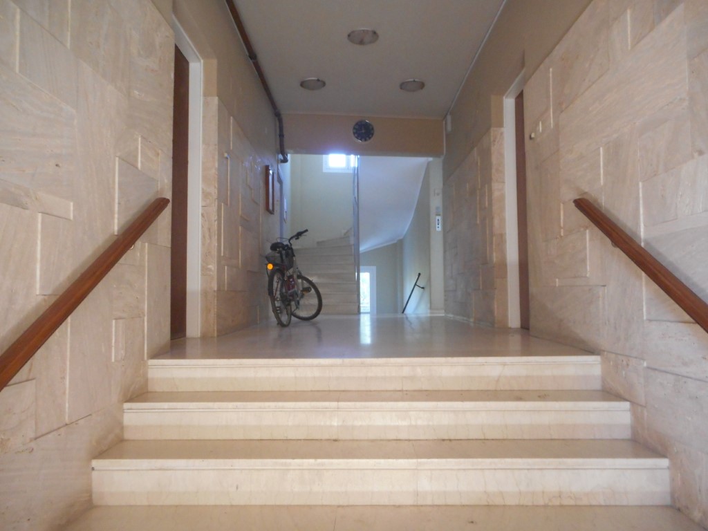 DSCN2468